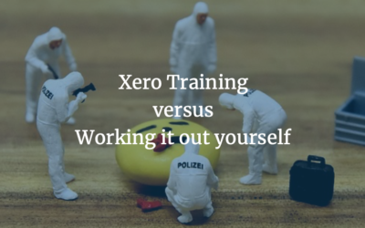 What do you really get from Xero training versus working it out yourself?