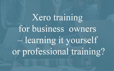 Xero training for business owners – learning it yourself or professional training?
